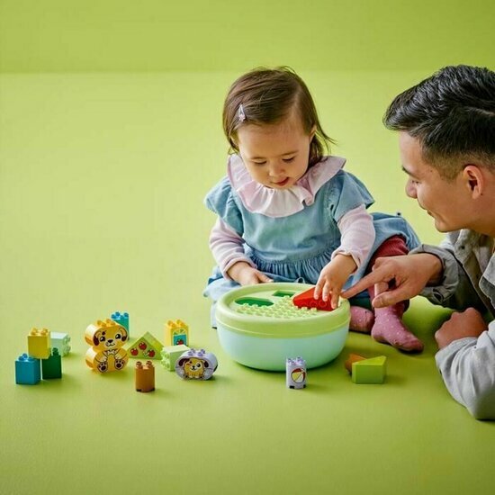 DUPLO 10441 Puppy House Shape Sorter