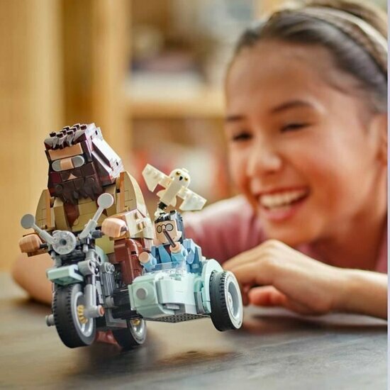 LEGO 76443 Hagrid en Harry's rit op de motor