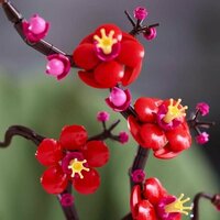LEGO 10369 Plum Blossom